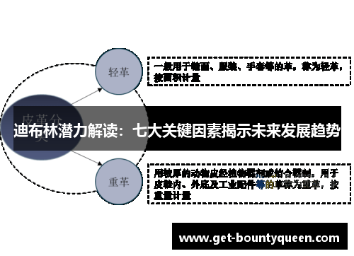 迪布林潜力解读:七大关键因素揭示未来发展趋势 迪布林潜力解读:七大关键因素揭示未来发展趋势